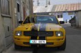 /album/photo-gallery-mustang1/dsc-0022-1024-marked-jpg/