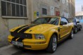 /album/photo-gallery-mustang1/dsc-0024-1024-marked-jpg/